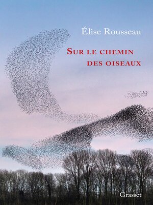 cover image of Sur le chemin des oiseaux